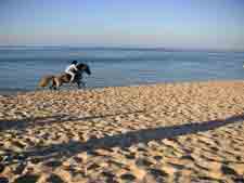 Tunisia-Tunisia-Monastir Star Rides